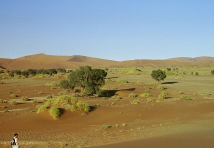 14-Namibia-2003