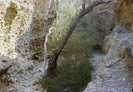 40-Namibia-2003