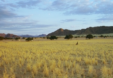 46-Namibia-2003