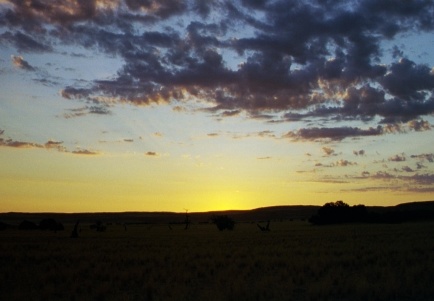 49-Namibia-2003