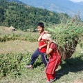 Wanderung um Pokhara 43