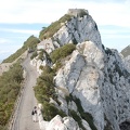 Gibraltar 33