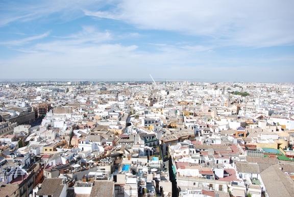 Die Kathedrale von Sevilla 08