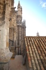 Die Kathedrale von Sevilla 28
