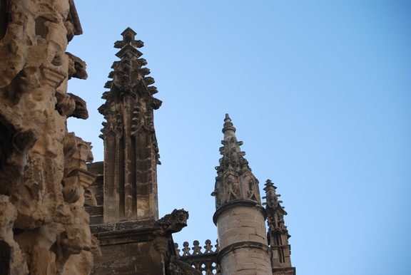 Die Kathedrale von Sevilla 29