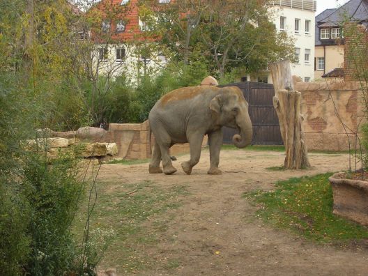 Zoo-31-10-2006 06